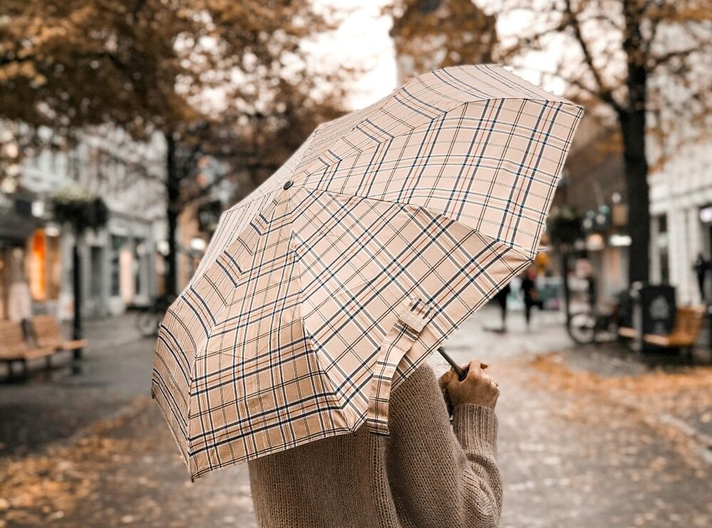 Best Travel Umbrella